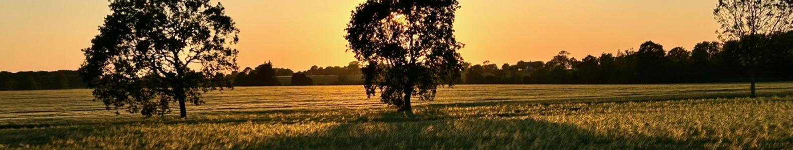 Westhorpe